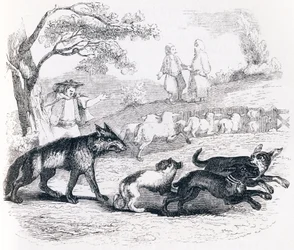 Bassa ja kauppias - La Fontainen Fables