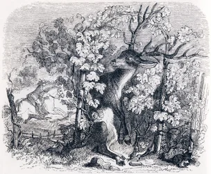 Hirvi ja viiniköynnös (Le cerf et la vigne) - La Fontainen tarinoita