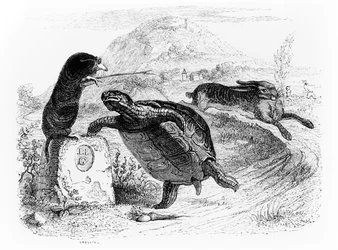 Jänis ja kilpikonna, kuvitus La Fontainen teokseen "Tarinat", julkaisija H. Fournier Aîné, 1838