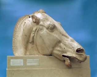 Selenen, kuun jumalattaren, yhden hevosen pää Parthenonin itäpäädystä, 447-432 eKr. (marmori)