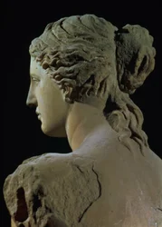 Venus de Milo, yksityiskohta takaraivosta, hellenistinen kausi, n.100 eKr. marmori, etukuva ks. 14152.