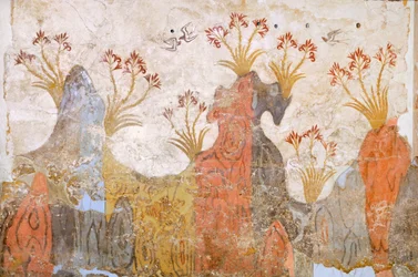 Liljojen tai kevään huone, Akrotiri-fresco, Thera (nykyään Santorini), Kreikka, minolainen sivilisaatio