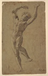 Tutkimus St.Sebastianille, Museo Pomarici Santomasi, Puglia, Italia