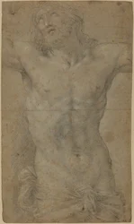 Kristuksen torso ristillä