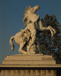 Jäljennös toisesta kahdesta "Marlyn hevosesta", jotka oli alun perin tehty Marlyn linnassa (Yvelines, 1739-45) sijaitsevaa hevoslammikkoa varten (marmori).