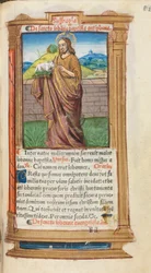 Painettu tuntikirja (Rooman käytössä): fol. 98r, Johannes Kastaja.