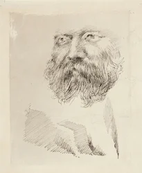 Johtaja C. A. Zitting, muotokuvatutkielma, kasvot