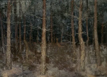 Mystiset polut, Metsänäkymä