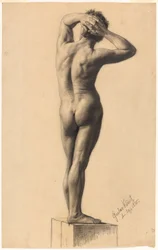Mies alaston