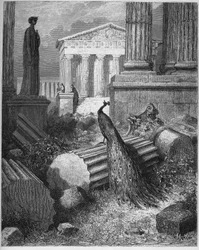 Riikinkukko valittaa Junolle - Jean de La Fontainen (Lafontaine) (1621-95) teoksesta Faabelit - kaiverrus Gustave Dorén (1832-83) mukaan - yksityiskokoelma