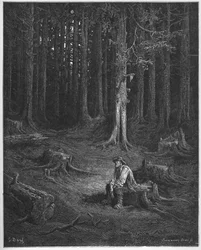 la foret et le bucheron - metsä ja puunhakkaaja - Jean de La Fontainen (Lafontaine) (1621-95) taruista - kaiverrus Gustave Doren (1832-83) mukaan - Yksityinen kokoelma