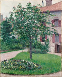 Tree in Blossom, 1882.