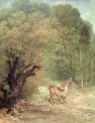 Metsästetty metsäkauris valppaana, kevät, 1867