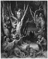Harpyijat, kuvitus Dante Alighierin (1265-1321) teokseen "Jumalainen näytelmä" (Helvetti), Pariisi, julkaistu 1885