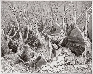 Jumalainen näytelmä (La Divina Commedia, La Divine Comédie), Helvetti, 13. laulu: itsemurhan tehneet pakenevat metsästä - Dante Alighieri (1265-1321) - kuvitus Gustave Doré (1832-1883)