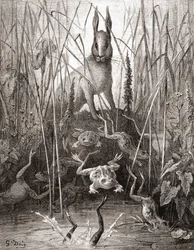 Jänis ja sammakot, 1800-luvun lopun Fables de La Fontaine -teoksen painoksesta