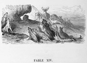 Leijonan hautajaiset - teoksessa "" Fables"" de La Fontaine, ill. kirjoittanut Doré