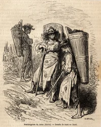 Xeresin poimijat. Gustave Doren (1832-1883) piirros havainnollistaa hänen matkaansa Espanjaan vuonna 1862 Ch. Davillier. Kaiverrus kirjassa "" Le tour du monde", toimittanut Edouard Charton