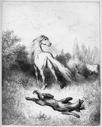 hevonen ja susi - Hevonen ja susi - Jean de La Fontainen "Fablesista"