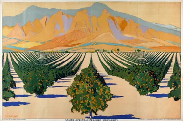 South African Orange Orchards, sarjasta "Summer