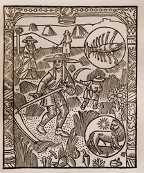 Paimenkalenteri - Kuukausien työt - Heinäkuu - Puupiirros Guy Marchantin (Guido Mercator) painamasta kirjasta vuodelta 1496 Troyesissa - Hay, la coupe des hay - Kaiverrus sur bois kirjassa "" Le grand Calendrier et compost des shepherds"" -
