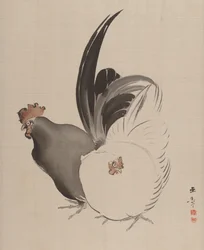 Kukko ja kana, 1887-92.