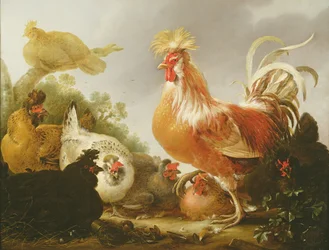 Kukko ja kanoja maisemassa, 1649