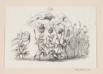 Kuvitus elokuvalle "Den lille Idas Blomster" H.C. Andersen, "Satuja ja tarinoita", osa 1
