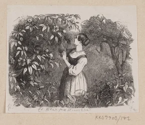 Kuvitus "A Leaf from Heaven" H.C. Andersen, "Satuja ja tarinoita", osa 2