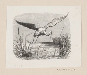 Kuvitus elokuvalle "The Storks" H.C. Andersen, "Satuja ja tarinoita", osa 1