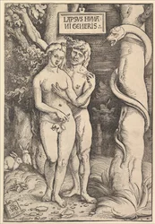 Aadam ja Eeva, 1511.