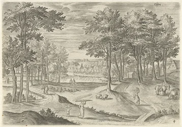 Vista d