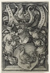 Vaakuna ja kukko, 1543