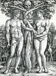 Aadamin ja Eevan syntiinlankeemus, n. 1525-27