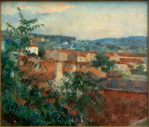 Paisatge a St. Tropez finlandès