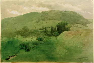 Schwarzwaldlandschaft
