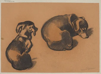 Dachshundin tutkimukset