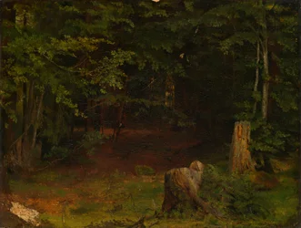 Metsän syvyydet
