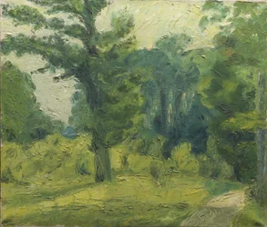 Metsän reunalla