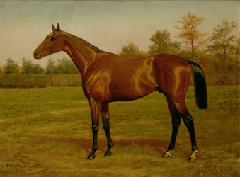 Isinglass, kolmoiskruunu, 1893