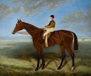 Salpinctes-a Race Horse, n. 1814-82 (öljy kankaalle)