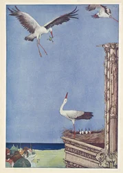 Haikarat.