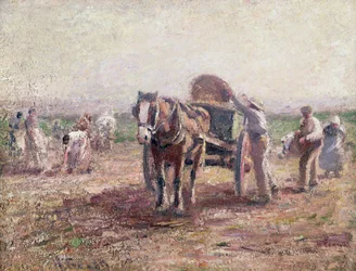 Perunanpoimijat