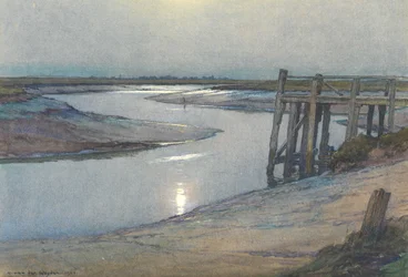 Moonlight - ruis