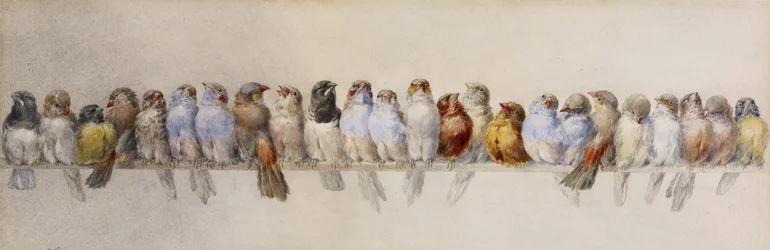 Ahven lintuja, n. 1880 (akvarelli ja grafiitti paperille)