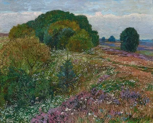 Nummen laidalla (Nummimaisema I). 1909