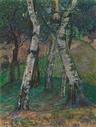 Koivuja Barkenhoffissa, 1913