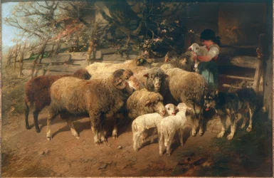 Rakas
