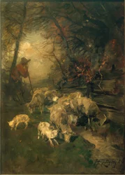 Paimen lampaiden kanssa