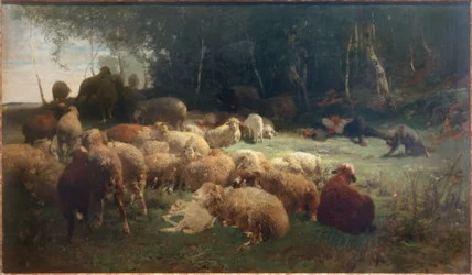 Lammaspoika lampaiden kanssa